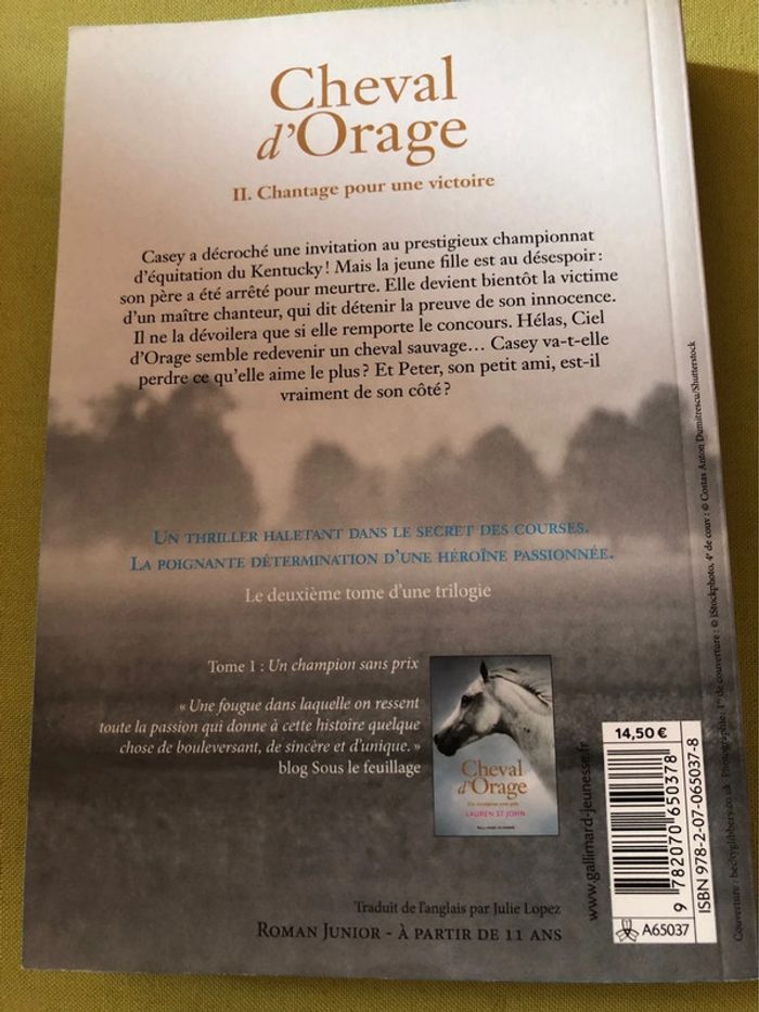 Livre cheval d’orage Lauren st John - photo numéro 3