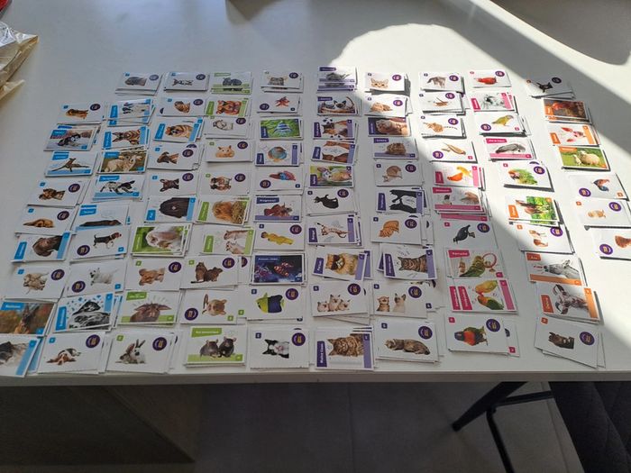 Collector cora nos amies les betes