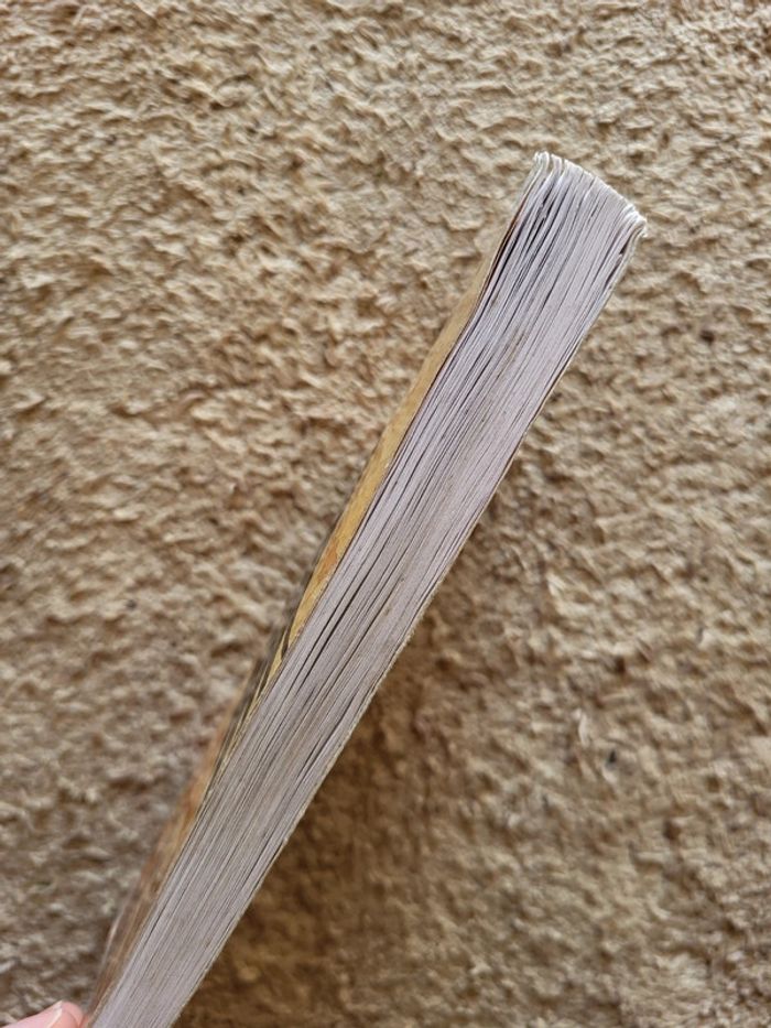 Roman jeunesse Le faucon déniché de Jean-Côme Noguès - photo numéro 3