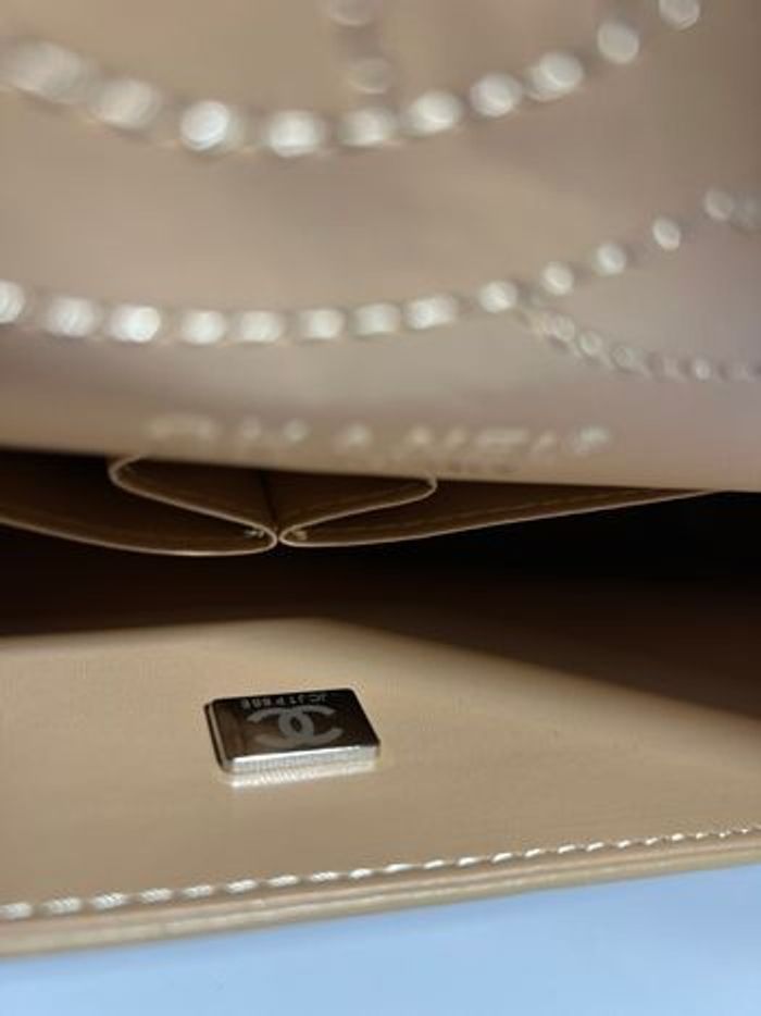 Chaṇe1   1113 - photo numéro 9