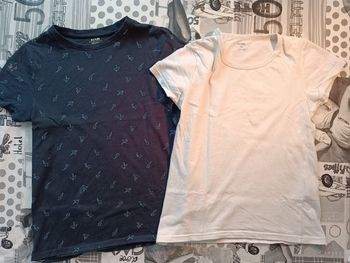 Lot 2 t-shirts manches courtes