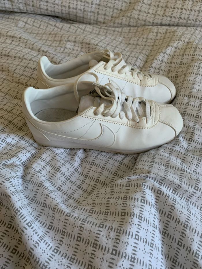 Cortez - photo numéro 5