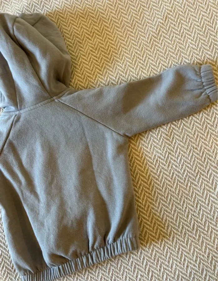 Veste capuche grise bébé 9 mois - photo numéro 5