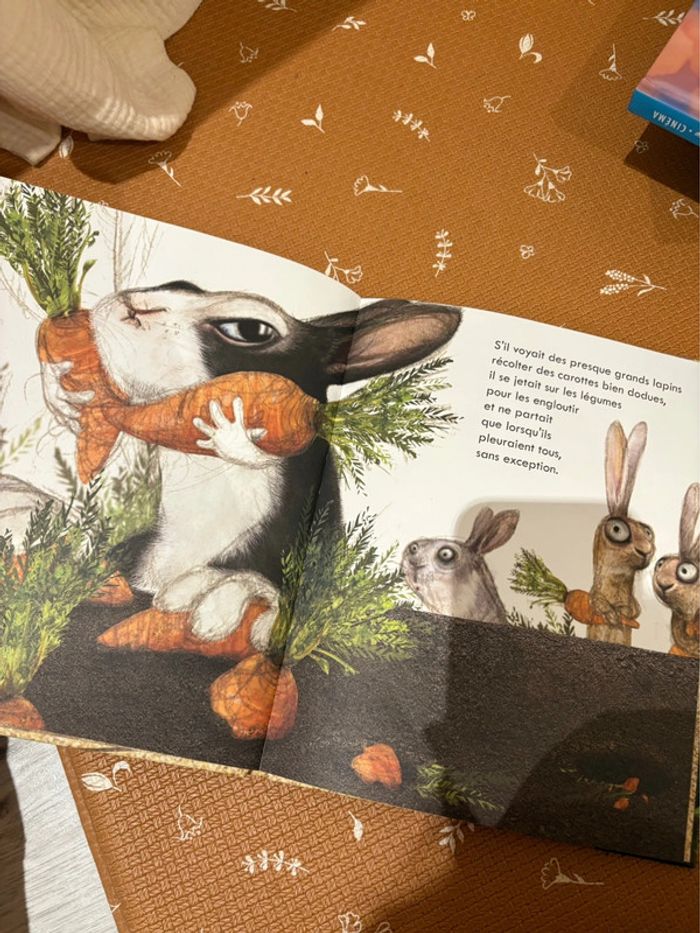 Livre le grand méchant lapin - photo numéro 2