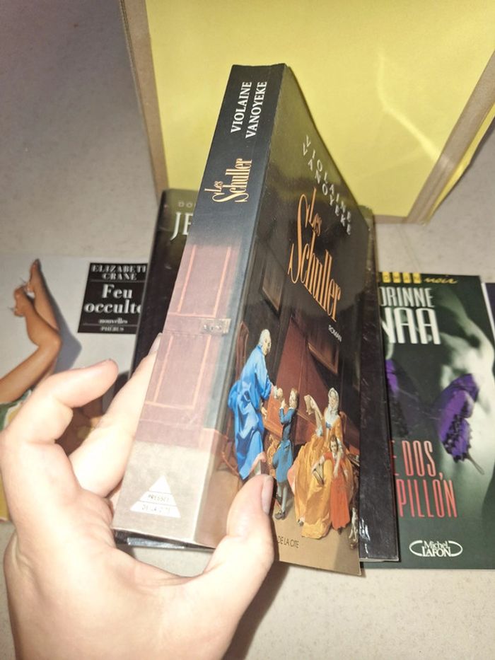 Livre les schuller roman - photo numéro 2