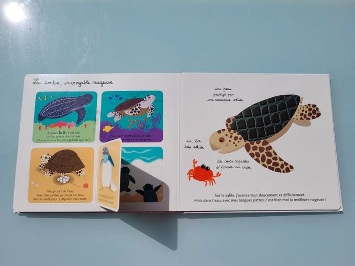Beau livre animé 🦀 Mes animaux des mers 🐬 à toucher 🦐 Milan Jeunesse (72) - photo numéro 16