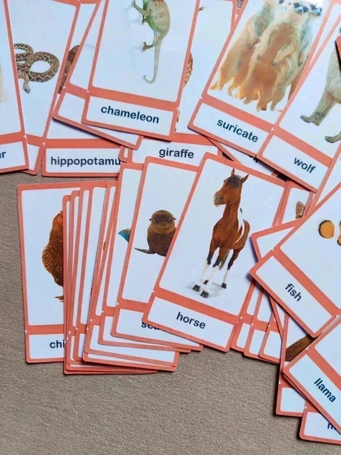 Lot de 56 cartes de nomenclature sur les animaux en Anglais Montessori - photo numéro 8