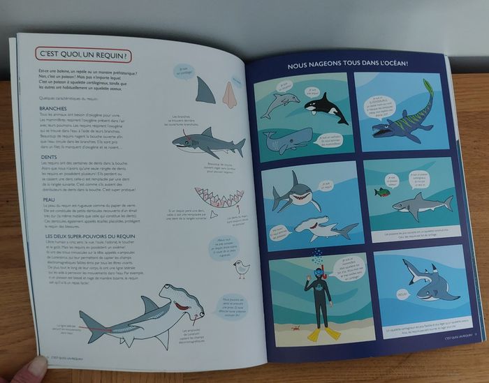 Requins - l'école des loisirs - photo numéro 4