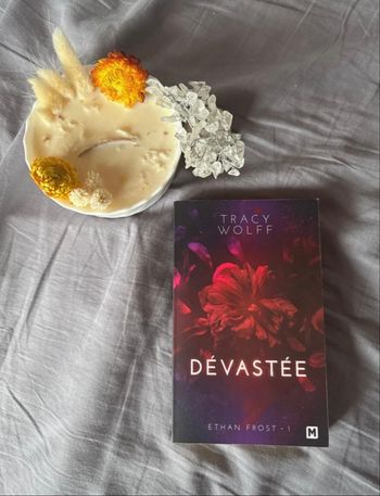 Livre Dévastée « Saga Ethan Frost » Tome 1