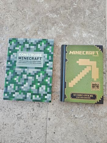 Lot 2 livres Minecraft