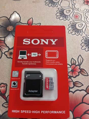 Carte mémoire Sony 1025GO