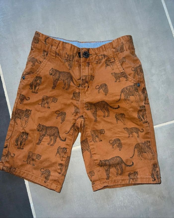 Short tigre