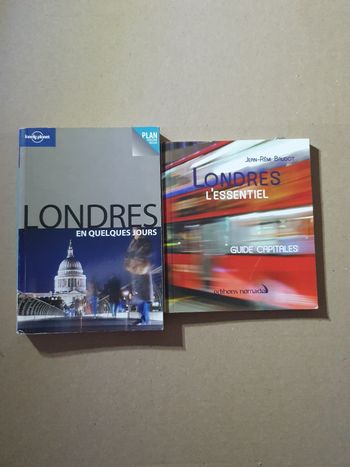 Lot de 2 livres poche sur Londres pour voyager