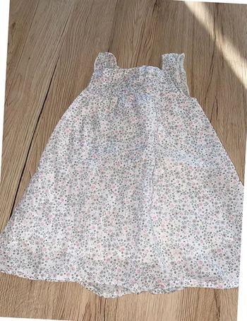 Grain de blé t12 mois