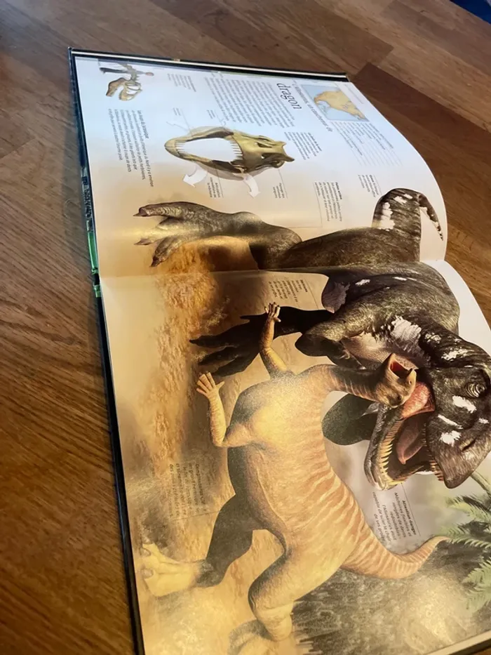Livre Les dinosaures À la loupe - photo numéro 10