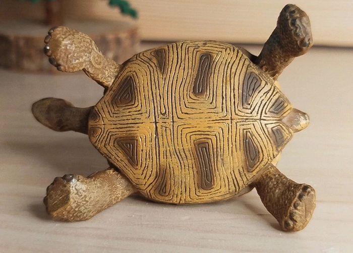 PAPO tortue de terre beige Figurine Animal de la ferme - photo numéro 3