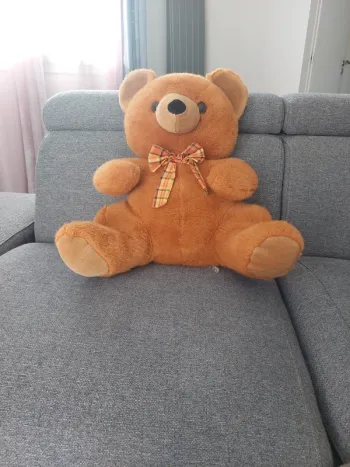 Ours en peluche