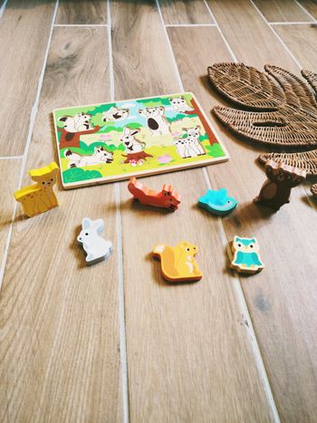 🦌Puzzle d'encastrement 3D les animaux de la forêt en bois