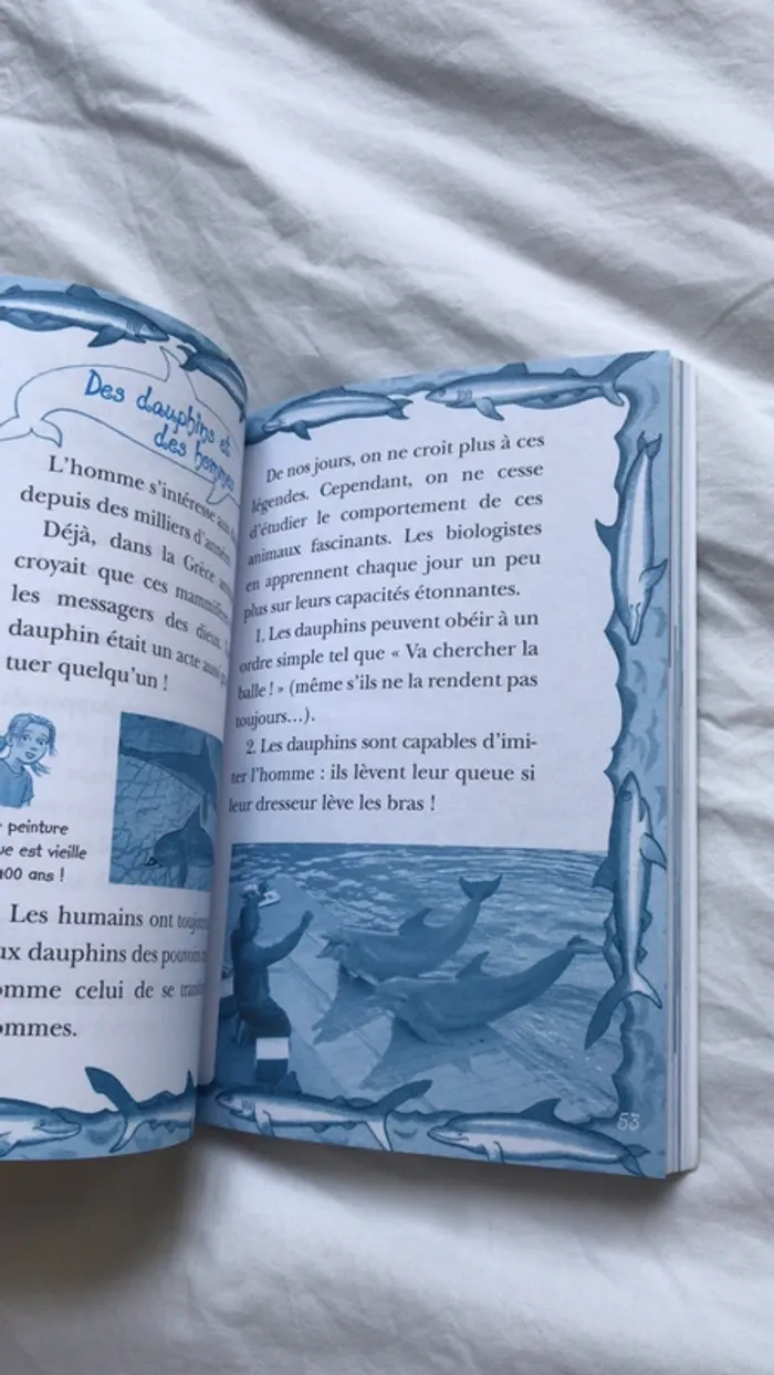 Roman la cabane magique - photo numéro 7
