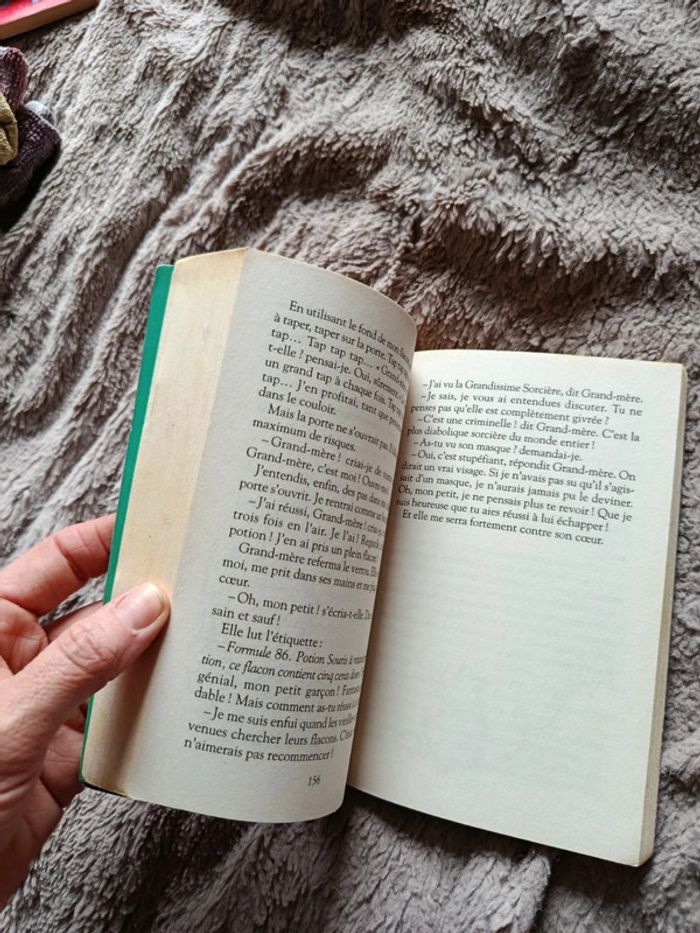 Livre poche sacrées sorcières - photo numéro 2