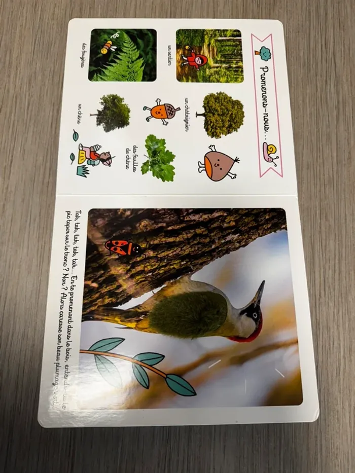 La forêt regarde touche et écoute - photo numéro 2