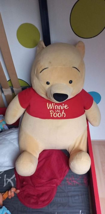 Grosse peluche winni