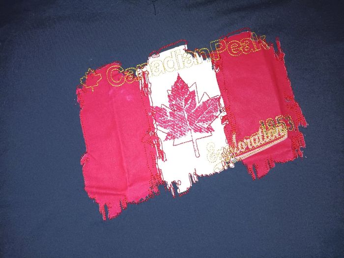 Lot 2 t-shirts manches courtes Canadian Peak 👨 taille XXL - photo numéro 3