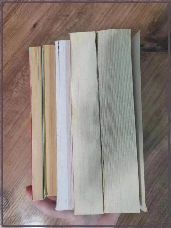Lot de livres Journal d'une princesse de Meg Cabot - photo numéro 12