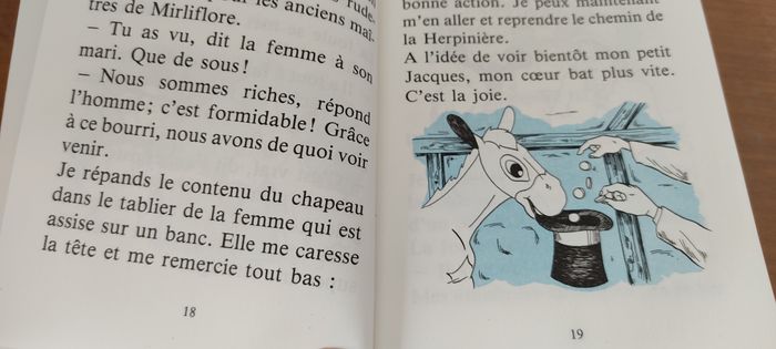 Les mémoires de Cadichon - photo numéro 2
