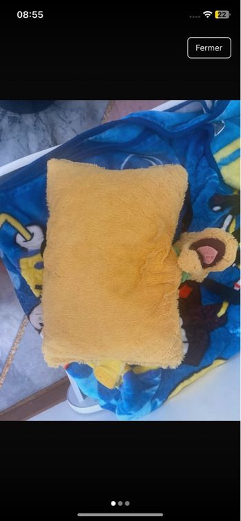 Coussin peluche