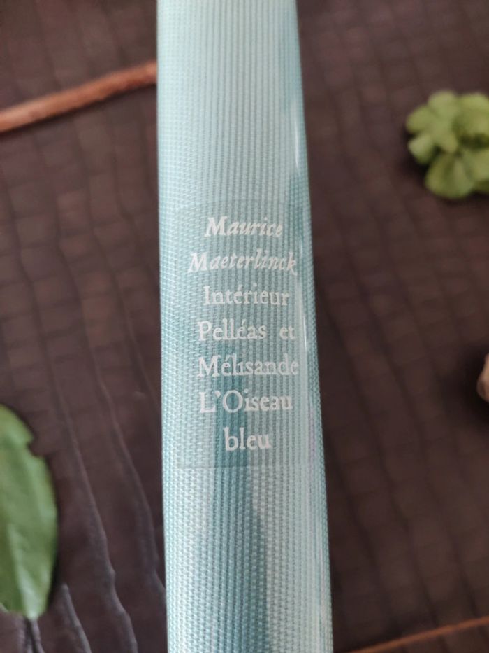 Intérieur Pelléas et Mélisande / L'oiseau bleu - Maurice Maeterlinck