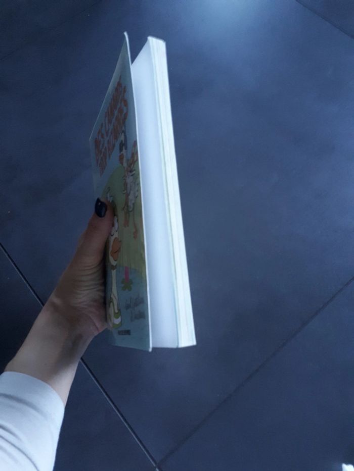 Livre des canards trop bizarres - photo numéro 4