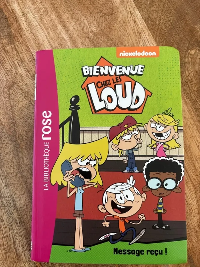 Livre Bienvenue chez les Loud « message reçu »