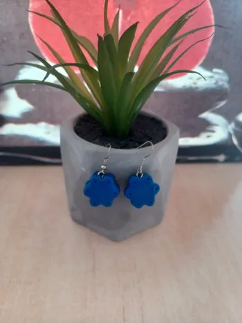 Boucles d'oreilles 