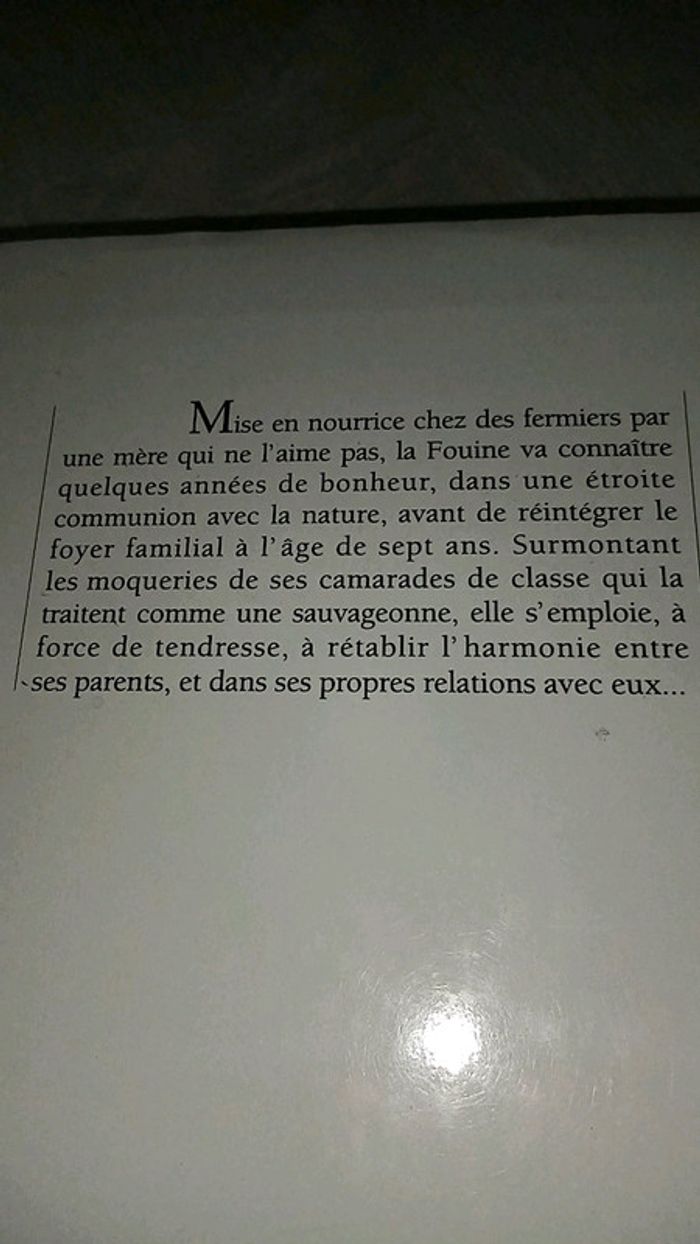 La fouine - photo numéro 3