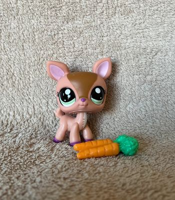 Petshop
