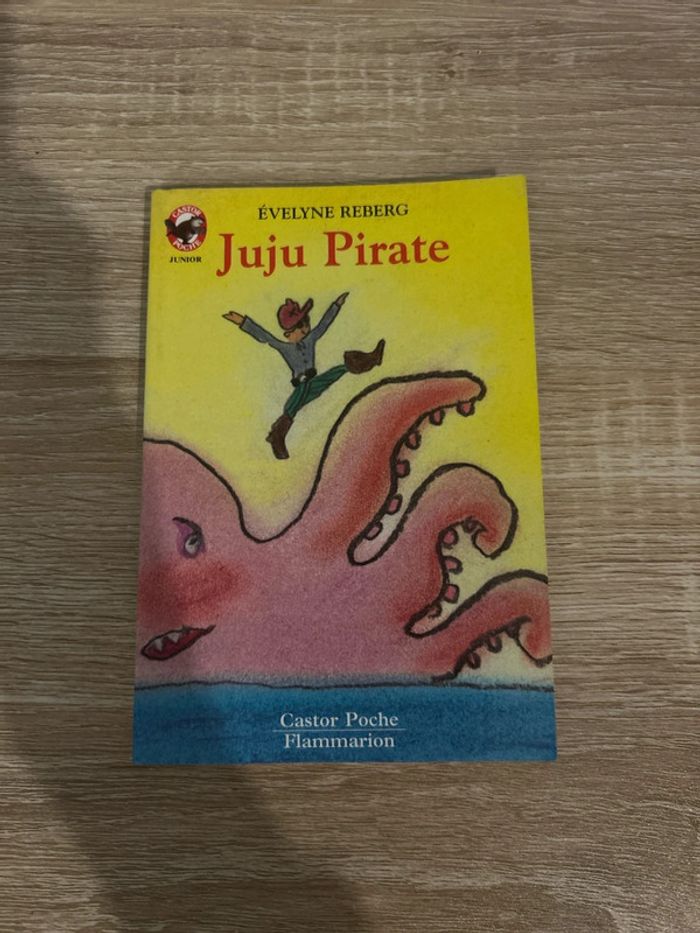Juju pirate - photo numéro 1