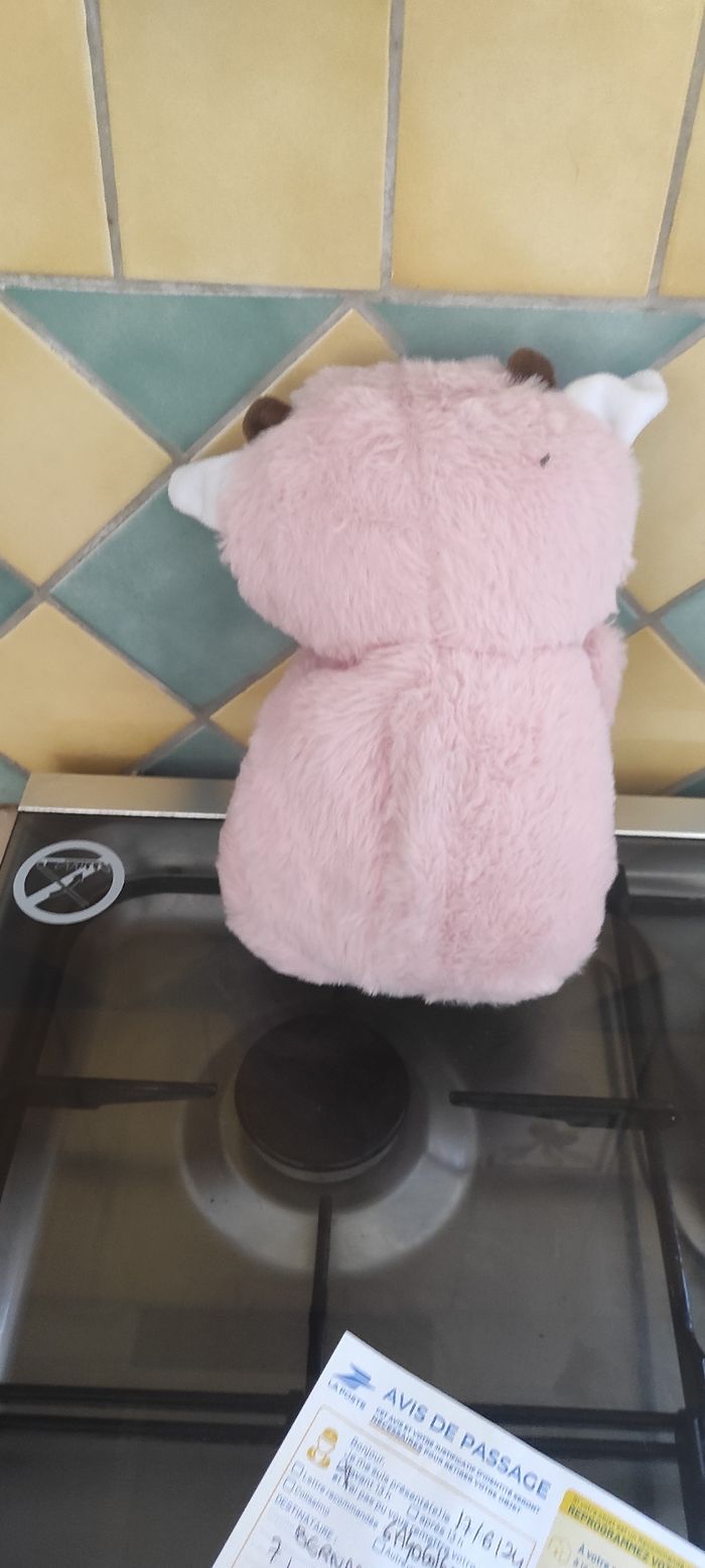 Mouton respirant - photo numéro 2