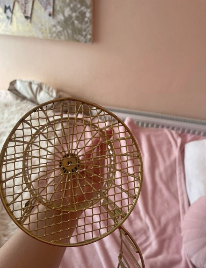 Cage oiseaux - photo numéro 3