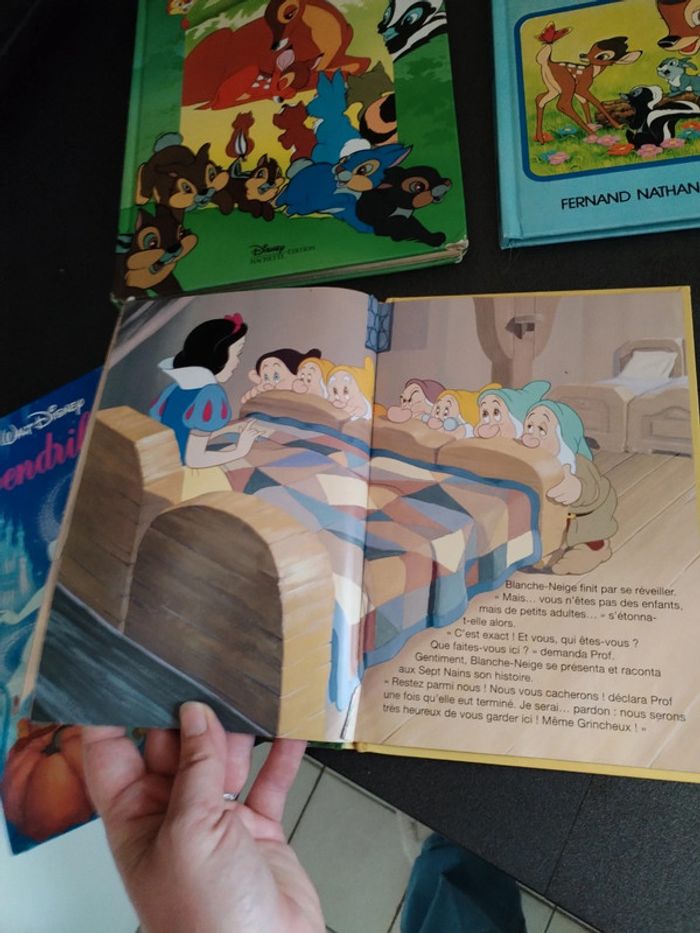 Lot livres disney - photo numéro 5