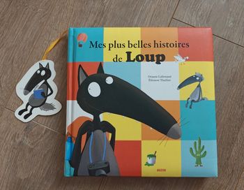 Livre 5 histoires de Loup