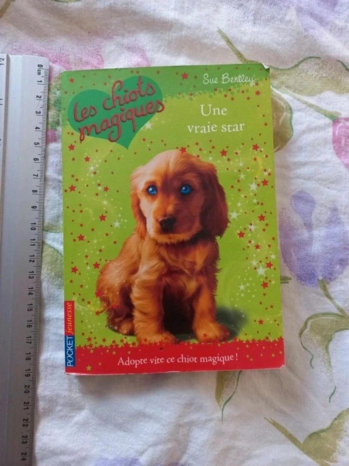 Livre les chiots magiques une vraie star