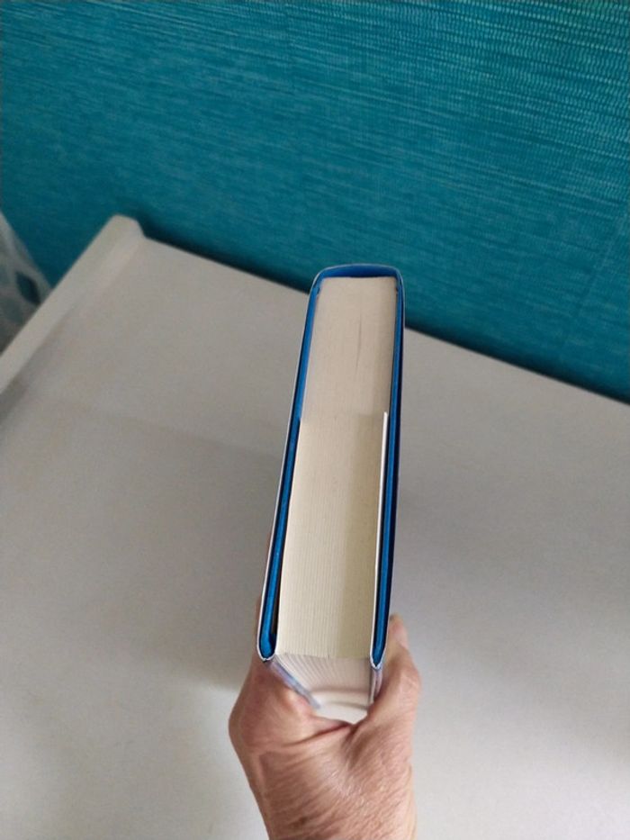 La deuxième femme de Tony Parsons - photo numéro 4