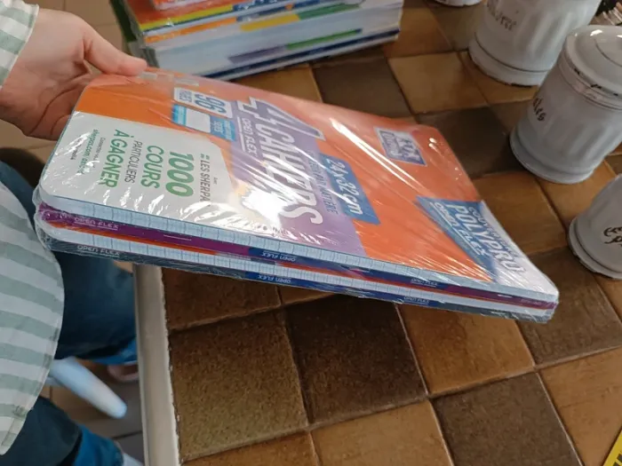 Lot de 4 cahiers Oxford polypro Open Flex 24 x 32 cm 96 pages grands carreaux neuf avec emballage - photo numéro 2