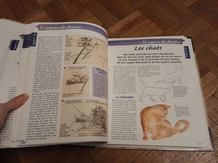 Magnifique gros lot cours de dessin