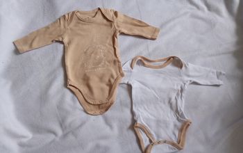 Lot bodies 3M