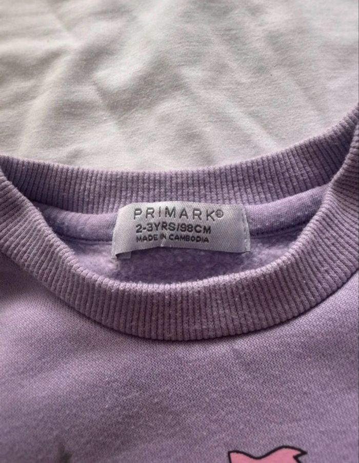 Pull fille 2/3 ans - photo numéro 3