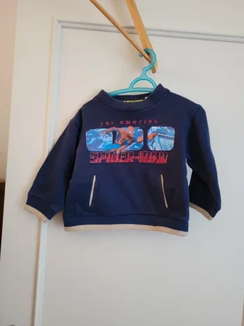 Sweat spiderman