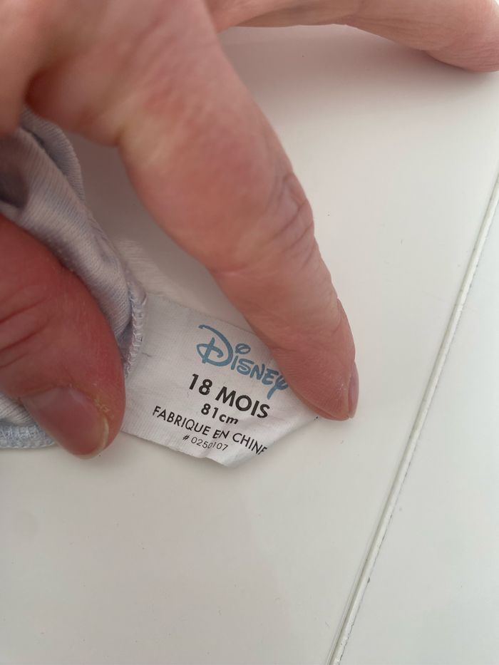 Lot bodies 18 /24 mois - photo numéro 10