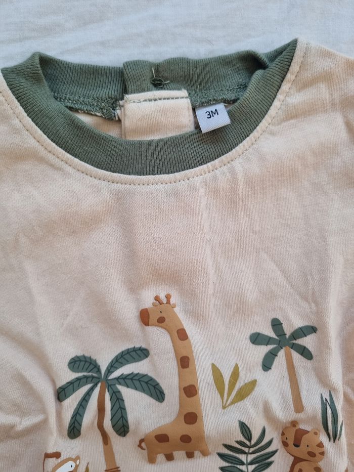 Ensemble - photo numéro 2